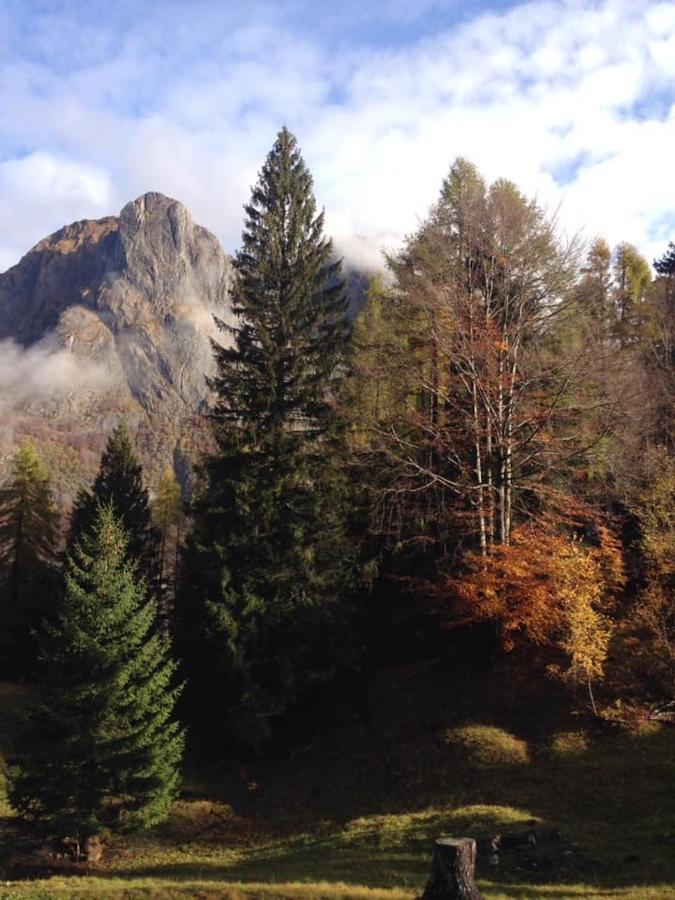 B&B Casa Peraria Paluzza Eksteriør billede